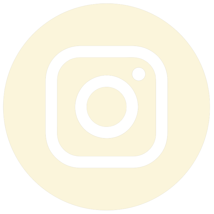 Instagram Icon